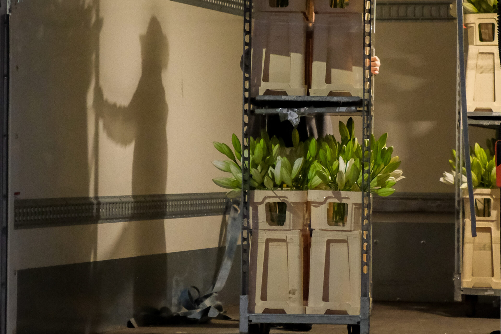 Agence_MUJO_Branding_DA_Photo_Fleur_Maison_Fiori_Mariage_Charles_Leclerc_14