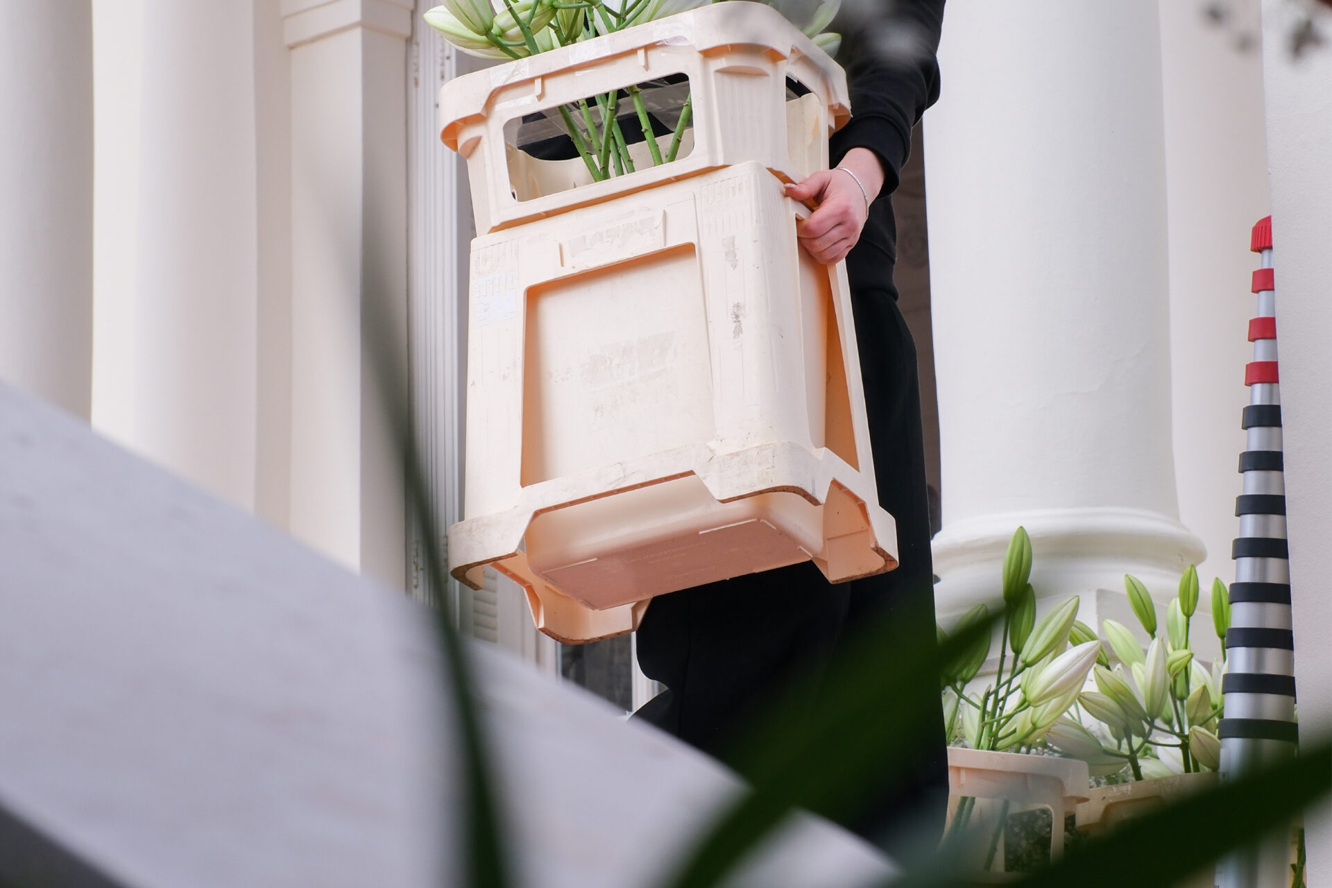 Agence_MUJO_Branding_DA_Photo_Fleur_Maison_Fiori_Mariage_Charles_Leclerc_15