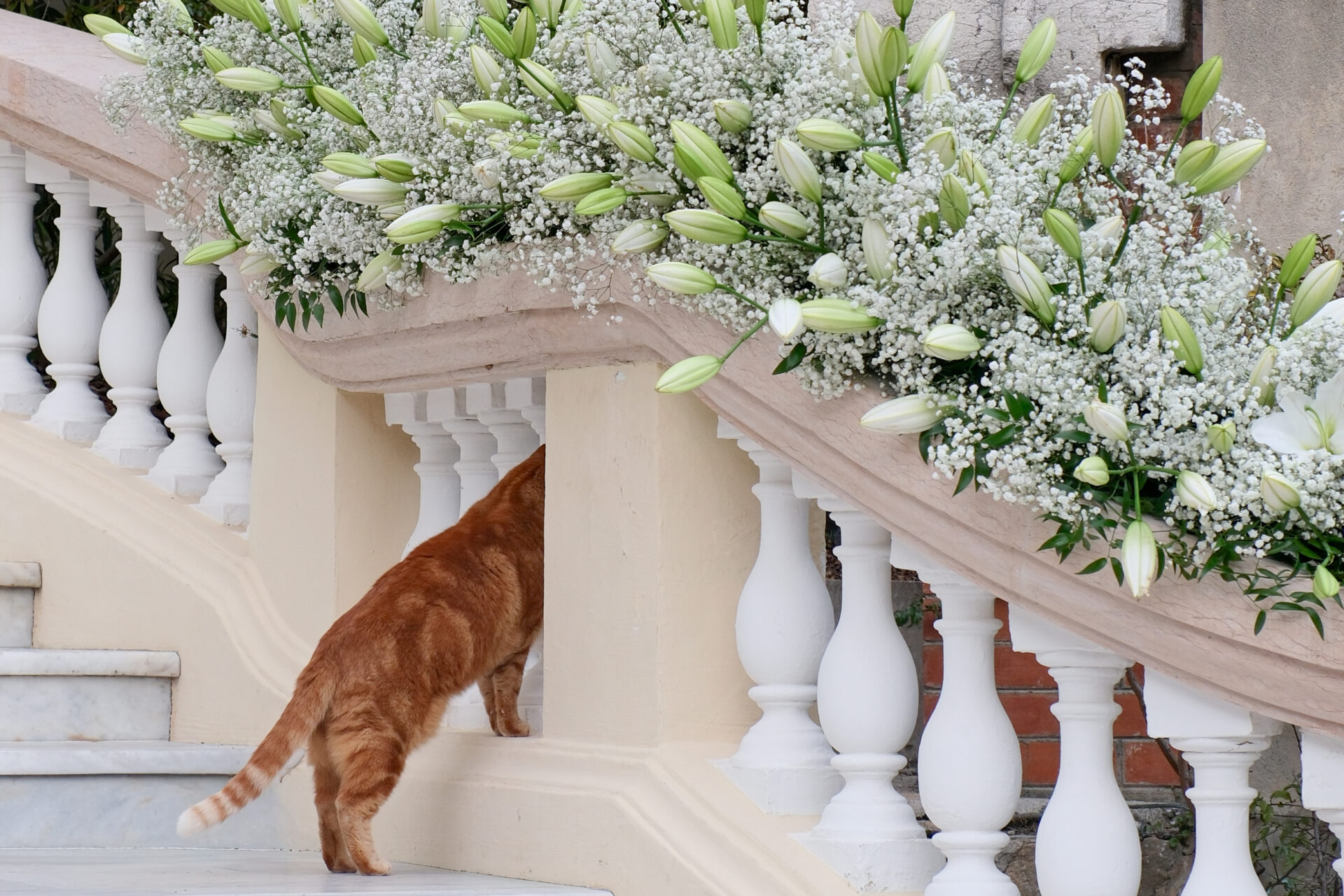 Agence_MUJO_Branding_DA_Photo_Fleur_Maison_Fiori_Mariage_Charles_Leclerc_21