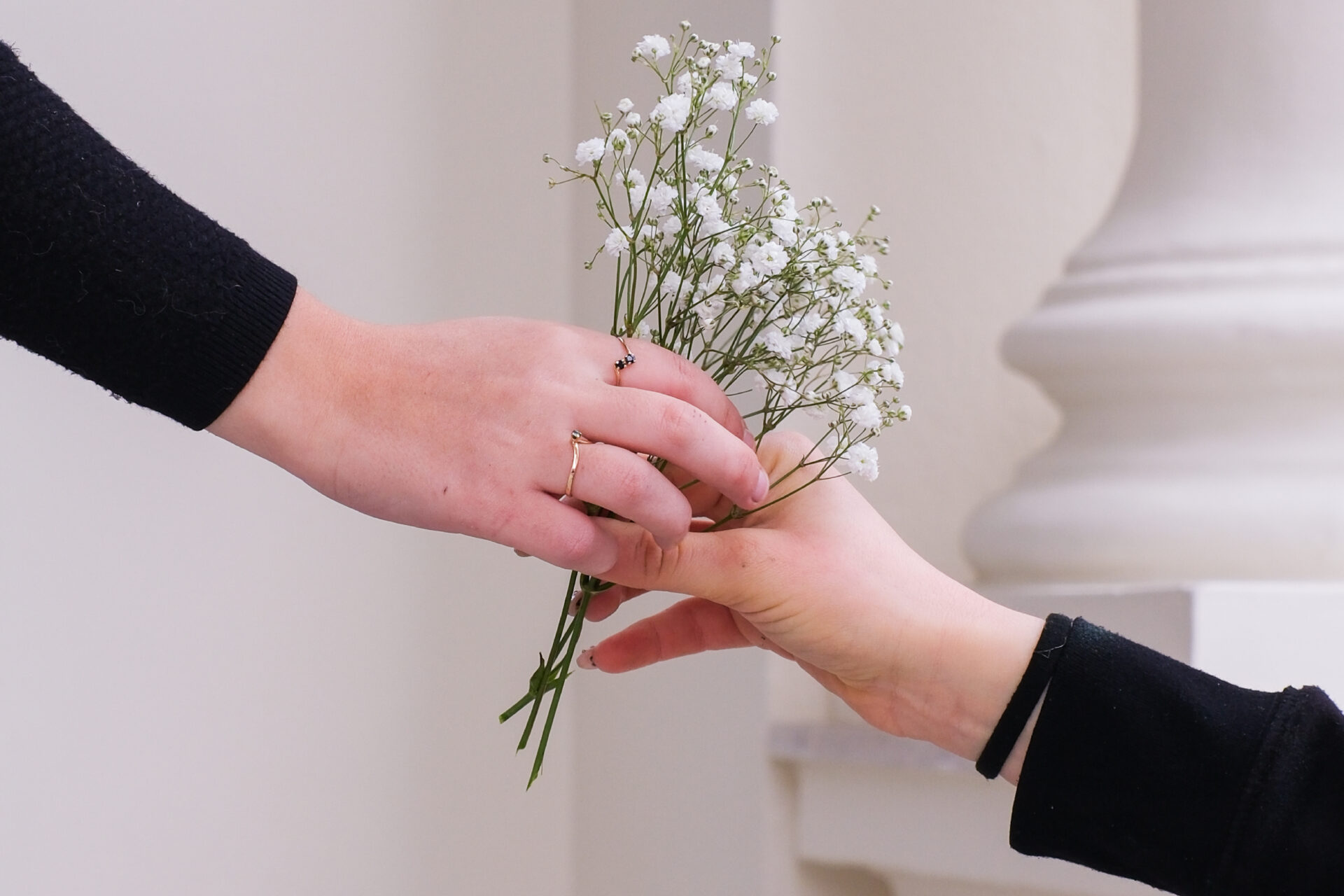 Agence_MUJO_Branding_DA_Photo_Fleur_Maison_Fiori_Mariage_Charles_Leclerc_22