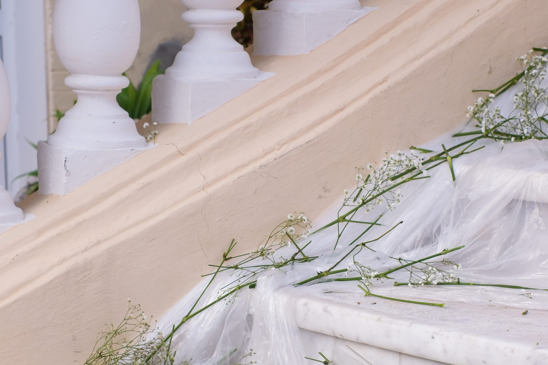 Agence_MUJO_Branding_DA_Photo_Fleur_Maison_Fiori_Mariage_Charles_Leclerc_6